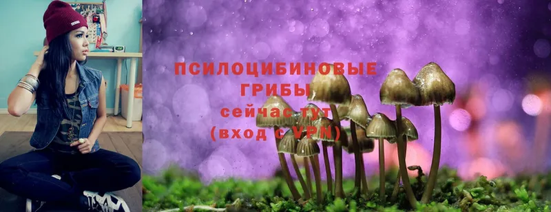 Псилоцибиновые грибы Psilocybe  МЕГА вход  Златоуст 